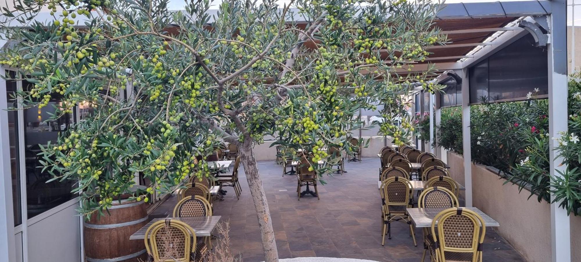 Hotel Restaurant Calypso フォス・シュル・メール エクステリア 写真